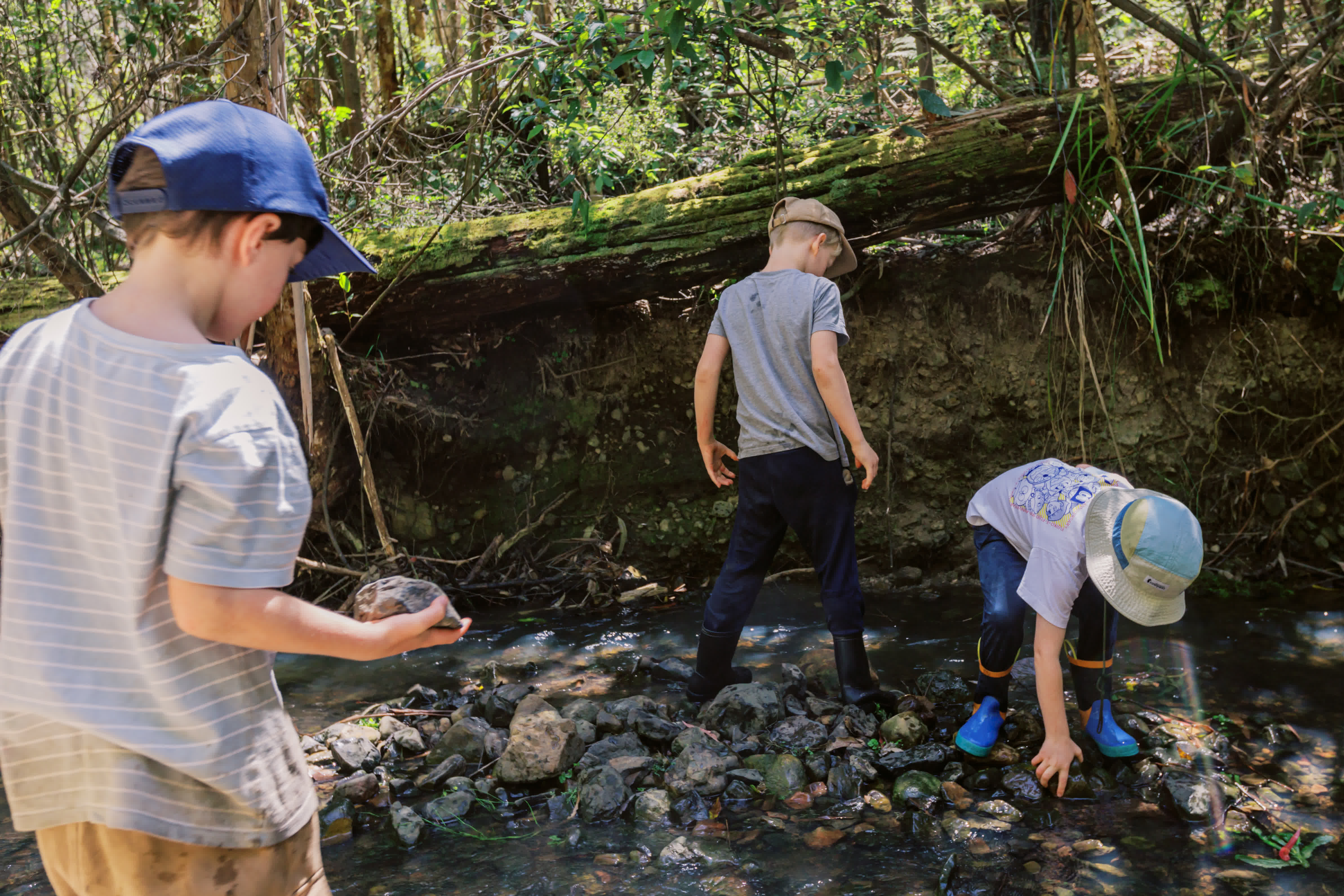 Boys playing in the creek