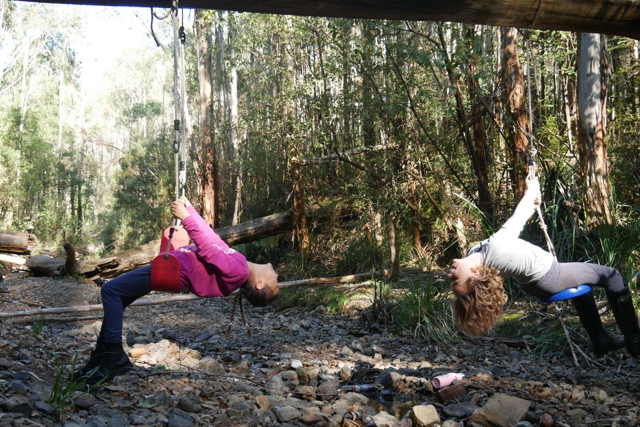 Swings in the dry creek bed